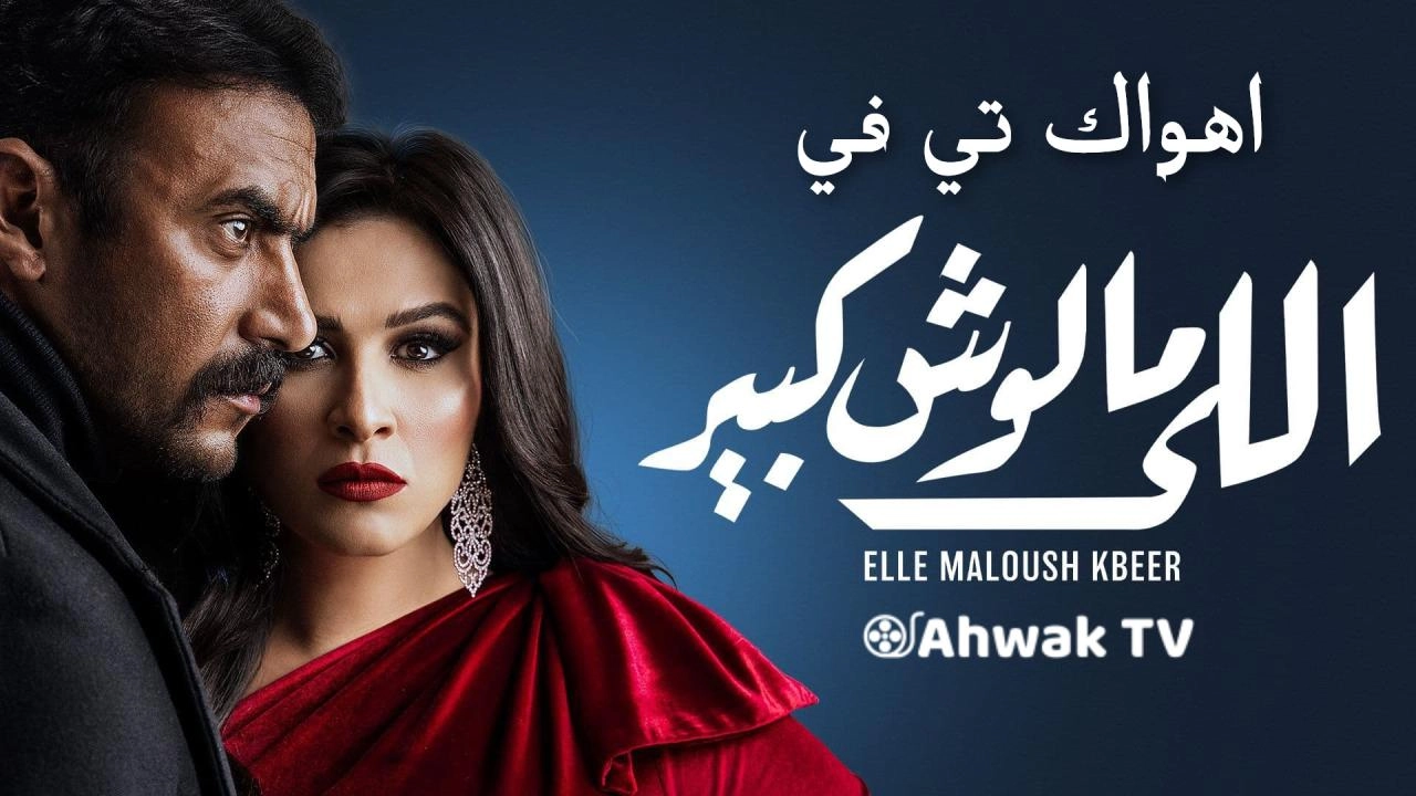 مسلسل اللي ملوش كبير