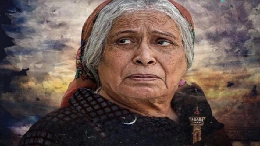 مسلسل ام هارون