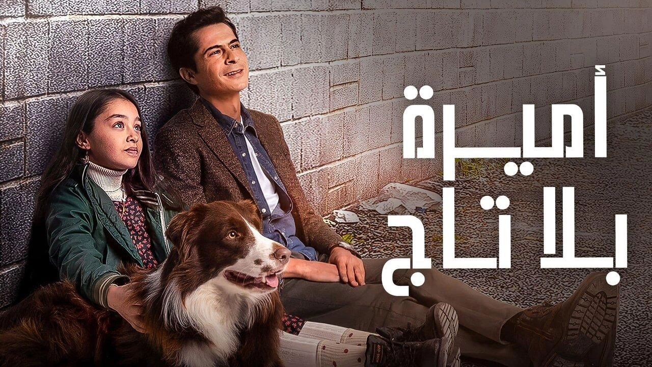 مسلسل أميرة بلا تاج