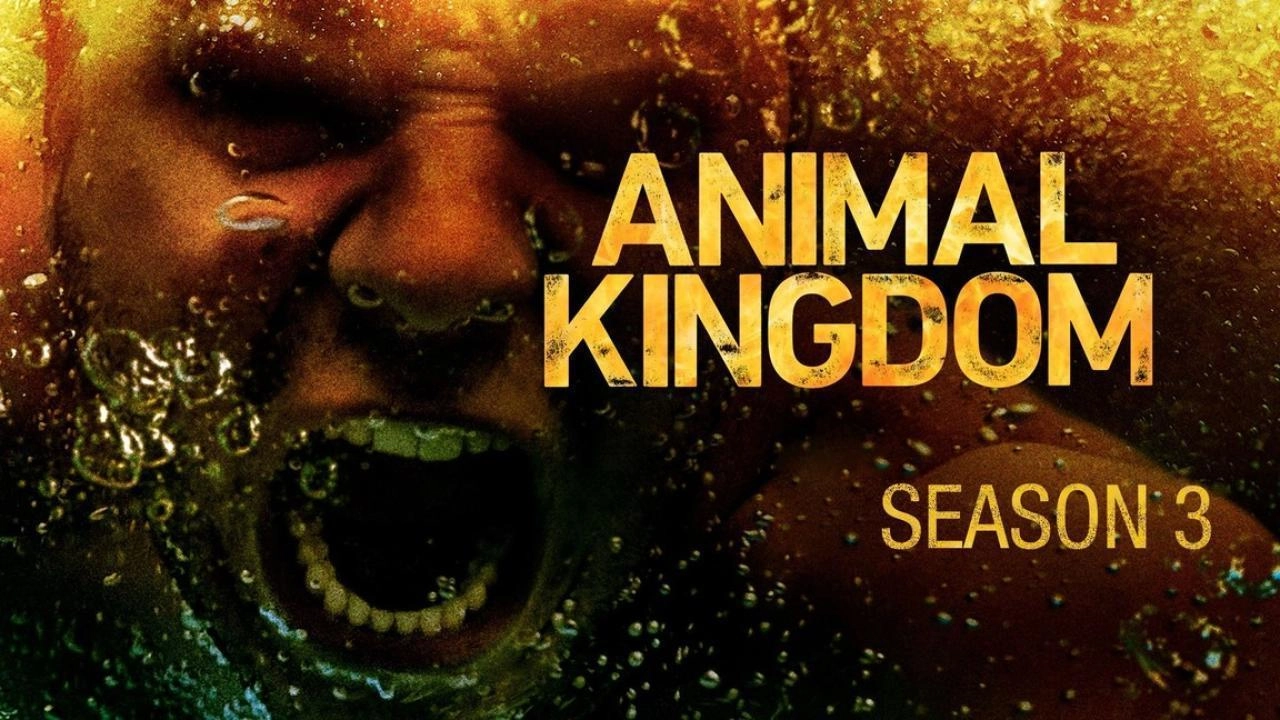 مسلسل Animal Kingdom الموسم الثالث